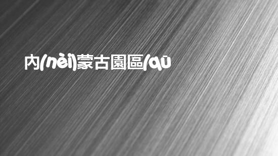 內(nèi)蒙古園區(qū)集中固廢危廢處置通知化工領(lǐng)域新技術(shù)，突破創(chuàng)新封鎖？